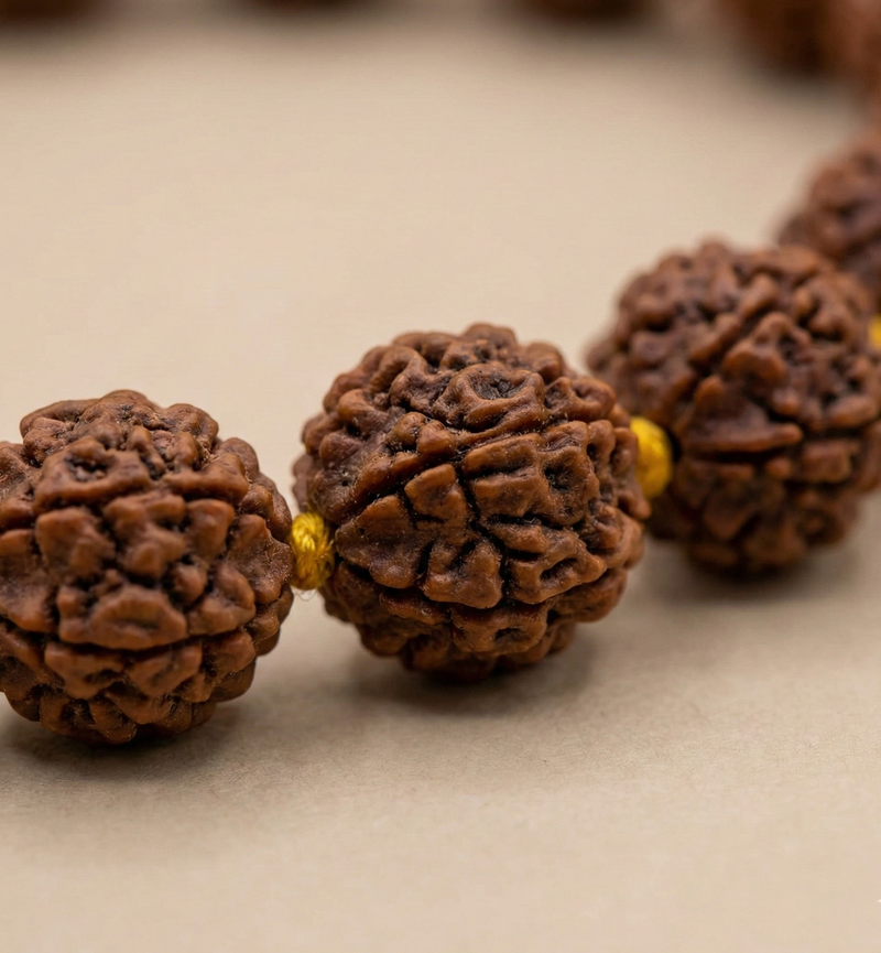 Close-up of brown rudraksha beads on a beige background
