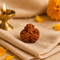 3 Mukhi Rudraksha