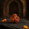 Brown textured object on a dark surface with a blurred background