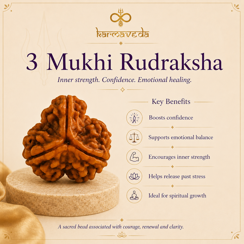 Three Mukhi Rudraksha with benefits listed on a beige background