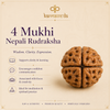 Four Mukhi Nepali Rudraksha with Karmaveda branding and product features on a beige background