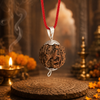 5 Mukhi Rudraksha