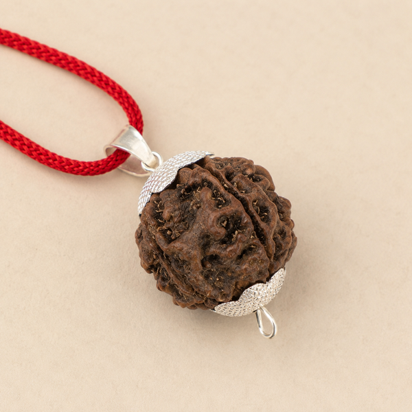 5 Mukhi Rudraksha