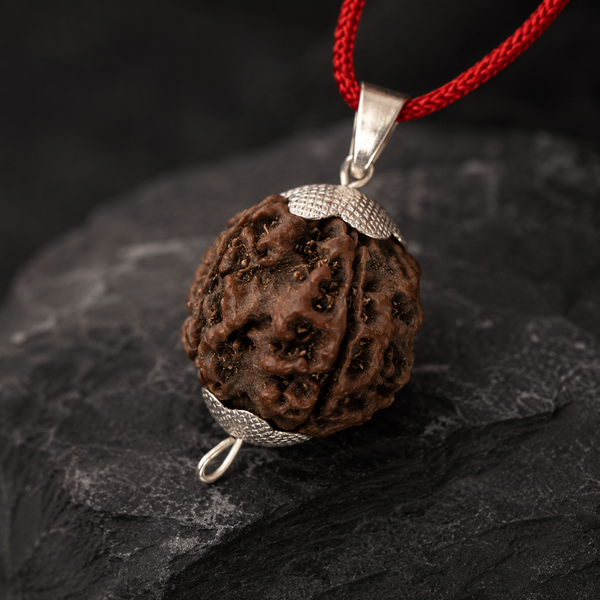5 Mukhi Rudraksha