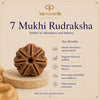 7 Mukhi Rudraksha with key benefits on a beige background