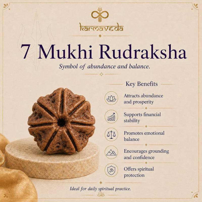 7 Mukhi Rudraksha with key benefits on a beige background