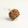 7 Mukhi Rudraksha