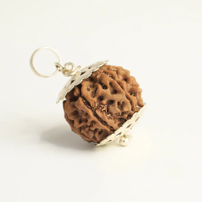 7 Mukhi Rudraksha