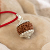 7 Mukhi Rudraksha
