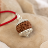 7 Mukhi Rudraksha