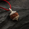 7 Mukhi Rudraksha