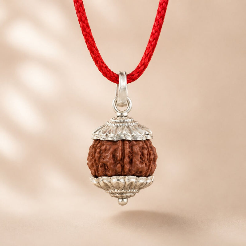 7 Mukhi Rudraksha