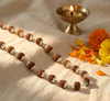 Silver Plated Rudraksha Mala
